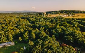 Arsenal Park Transilvania